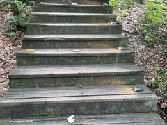 -帽儿山国家森林公园