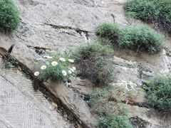 -响堂山石窟-北响堂山石窟