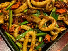 -天山醉美辣子鸡(文艺路店)