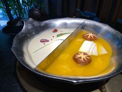 台式麻辣花胶鸡鸳鸯锅-湊湊火锅·茶憩(世博大道店)