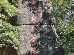 -汤旺河林海奇石景区