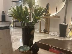 -OMSPA(盛景尚峰店)