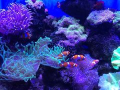 -多彩贵州城极地海洋世界