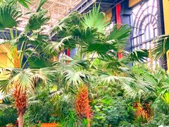 -郑州银基黄帝宫御温泉