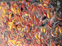 -泰安地下龙宫景区