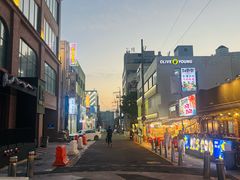 -宝健路步行街(Pedestrian Shopping Street)