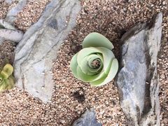 -北京植物园-展览温室