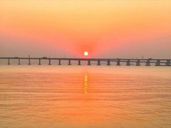 -宝安西湾红树林湿地公园