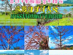 -海南霸王岭国家森林公园