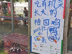 -前小桔亲子创意农场·草莓采摘·露营烧烤