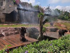 -海南热带野生动植物园