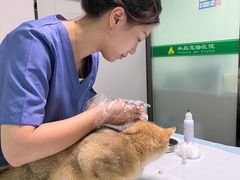 -半岛宠物医院24小时(科华中路店)