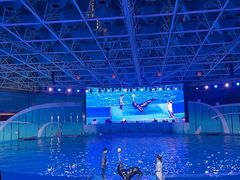 -海合安青岛极地海洋公园