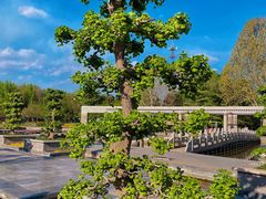 -石家庄市植物园