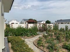 -张北坝上草原