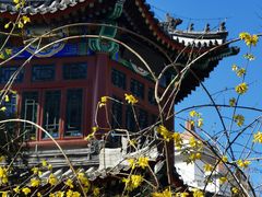 -宣武艺园