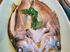 清蒸海鲈鱼-新白鹿餐厅(城西银泰城店)