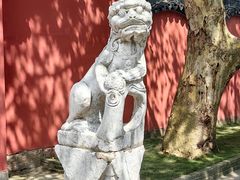 -丝绸小镇荻港古村