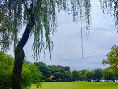 -柳浪闻莺公园