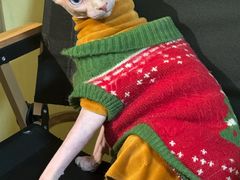 -Meowの猫咖(万家丽店)