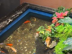 -隐炉和牛烧肉店(群力店)