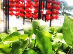 -陶然居·重庆菜(南滨路店)