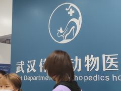 -伟伟宠物医院·CT影像中心·瑞派犬猫综合性门诊(汉口总院)
