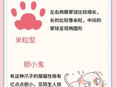 -唐小姐の私宠·宠物洗护美容·撸猫馆·购宠(周浦万达旗舰店)