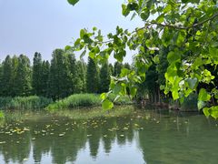 -捞渔河湿地公园