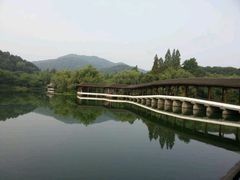 picture-花港海航度假酒店·中餐厅