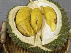 -都念榴莲·城市榴莲