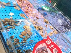 -双合园·海鲜水饺青岛菜(九水东路店)
