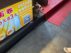 -朱記糯米蛋糕(千川百货店)