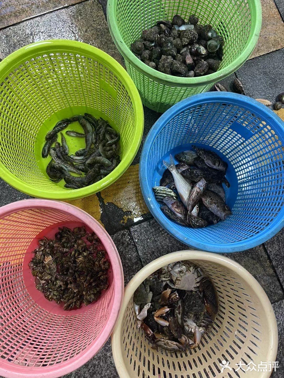 这样的赶海应该没有人不喜欢吧(2)图文篇🥰🥰🥰