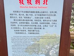 -安溪清水岩