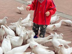 -王府井奥莱临潼小镇(临潼店)