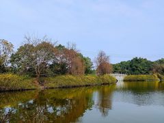 -成都南湖公园