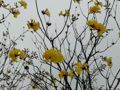 -文华公园(禅城区)