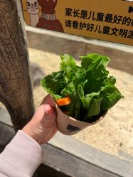 -造物庄园 萌宠纪(苏州湾歌林公园店)