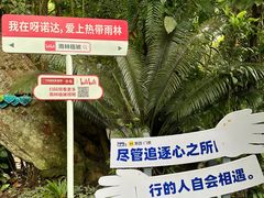 -呀诺达热带雨林
