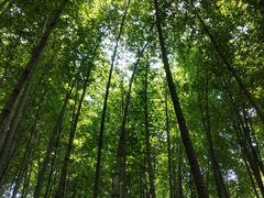 -宝岩生态观光园