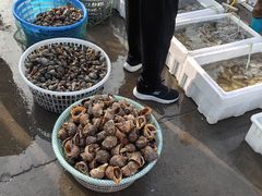 -77号渔船·蒸海鲜青岛菜(积米崖店)