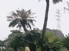 -南宁花花大世界景区