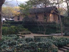 IMG_3147-法云安缦酒店