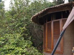 DSC02718-三亚亚龙湾人间天堂鸟巢度假村