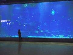 -福州罗源湾海洋世界旅游区