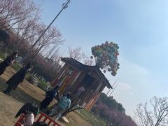 -秀丽东方