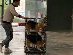 -东浩兰生上海世博展览馆