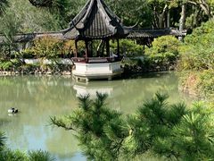 -上海醉白池公园