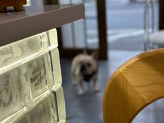 -KYO COFFEE(胶州路店)